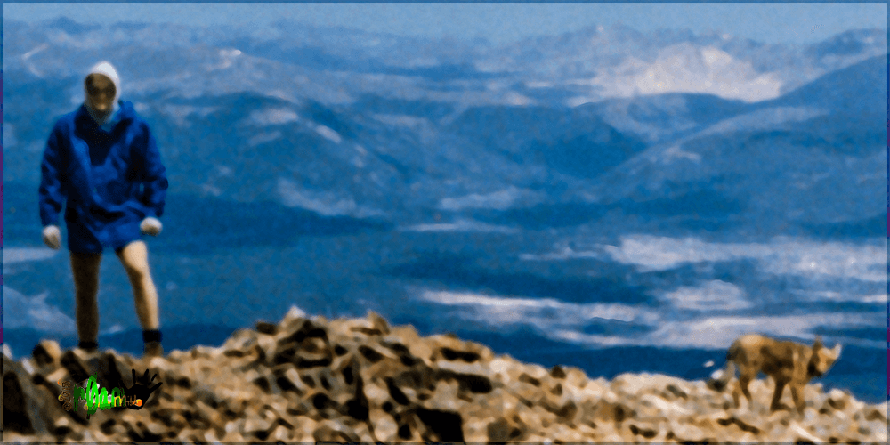 Summit of Mount Elbert 1985